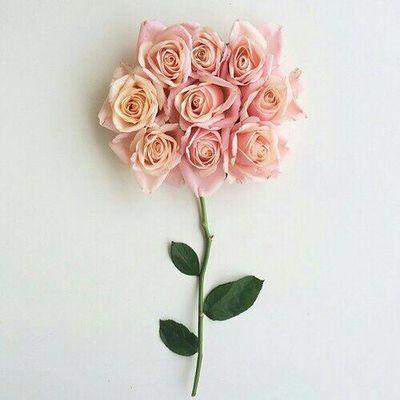 لدي قناعة بأني ماوجدت إلا لأكون متميزة . لم نخلق ليقيم اﻻخرين أخلاقنا''. لذلك لايهمني رأي الآخرين ....الخاص ممنوع