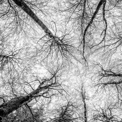 PostbadGirlxxx's profile picture. Allez lire le coran un tout petit peu avant de vous faire des idées.