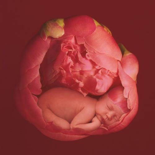 Ost_Danyela's profile picture. Midwife - Pregnancy and Birth - Women Centred Care