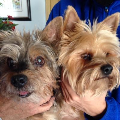 jyclemente's profile picture. 