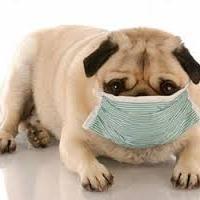 Valora lo que tienes, supera lo que te duele y lucha por lo que quieres. Soy veterinario,me gusta salir de paseo con mi familia.