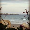 Robyn Estes - @little82402 - Twitter