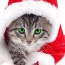 Dan Florea - @danrobertflorea - Twitter