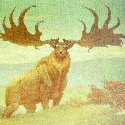 lFemto's profile picture. Xbox and PSN - lFemto