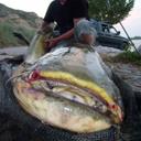 ricky bowles - @rickydanjan - Twitter