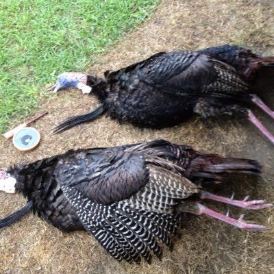 We are a custom turkey and deer call company based in the upstate of South Carolina. You can check out our calls in action on Southern Woods and Water TV!