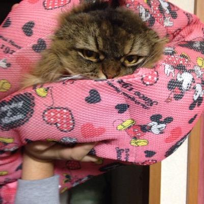 ichi_d's profile picture. 