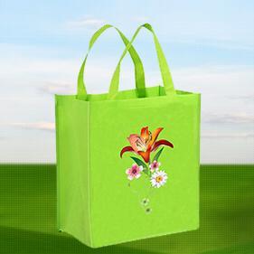 Wholesaler Bags – a company that provides quality customized Eco-friendly reusable bags at around forty percent lower than the industry standard!