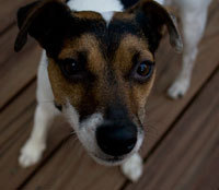 toddhacker's profile picture. 