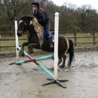 Equine every day & all day Love the pony