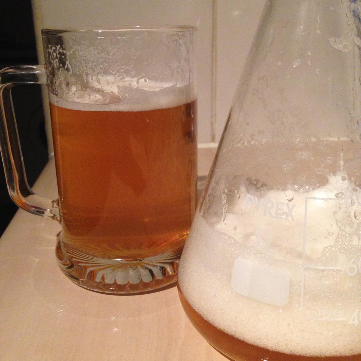 beerdirective's profile picture. Making beer and beer making kit