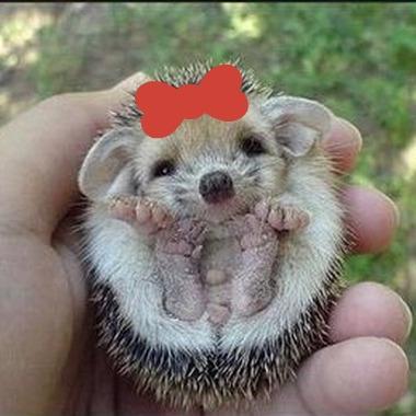 @ruthgdr è la mia padronkina bll *__* //spillo mi arrapi come un coccodrillo;))
