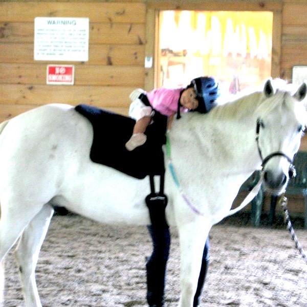 Our vision is to provide a worldwide collaborative of horse therapy practices and related topics
