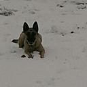 mandi cunningham - @mandicunningha1 - Twitter