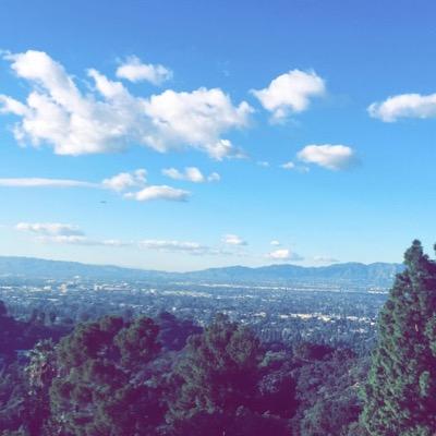 JayneDwyer1's profile picture. followforfollow