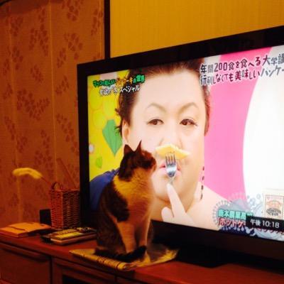 妄想と心の叫びを呟いてます。取引もここで。基本雑食。東堂、藍ちゃん、アーサーが現在のメイン。艦これスクフェスとうらぶ勢。フォローお気軽にどうぞ。リザードン愛が私のバトルスピリッツ