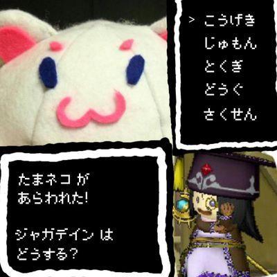 声優さん(主男性陣･保志さん鳥海さん)/ネオロマ/乙ゲー/音ゲー(ポップン､DIVA､SDVX)/RPG/戦無双…etc、割とゲーム好きな社会人。腐ってたり､ラクガキしたりしてます。 昼夜問わずよく浮上します。 成人済。歌い手さんも好き。ゲーム実況みるのも好き。アイコンは金色のコルダ3公式より
