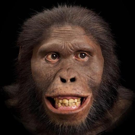 aaustralopithec's profile picture. There is nothing impossible to me. I could reach the high things.