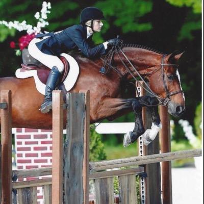 •once you have entered the horse world theres no turning back sorry•