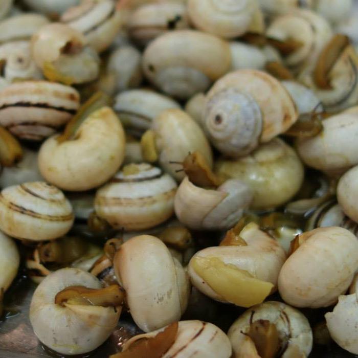 houfood's profile picture. 