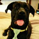 steven powers - @stevenp83009085 - Twitter