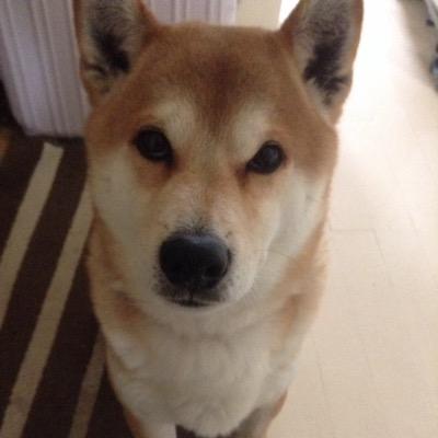 takuma1028sky's profile picture. 新しく始めました( ´ ▽ ` )ﾉ　BO　バイナリーオプションやってます('_')　エナジードリンクが大好きです！特にレッドブル＼(^o^)／