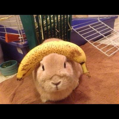 Everyones favorite banana.