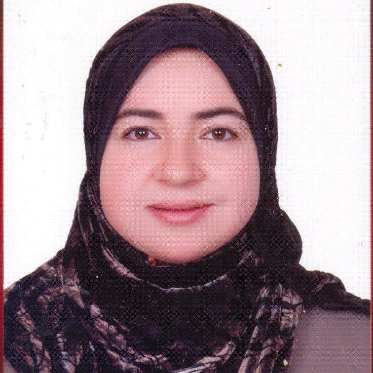 nohaelassy's profile picture. 