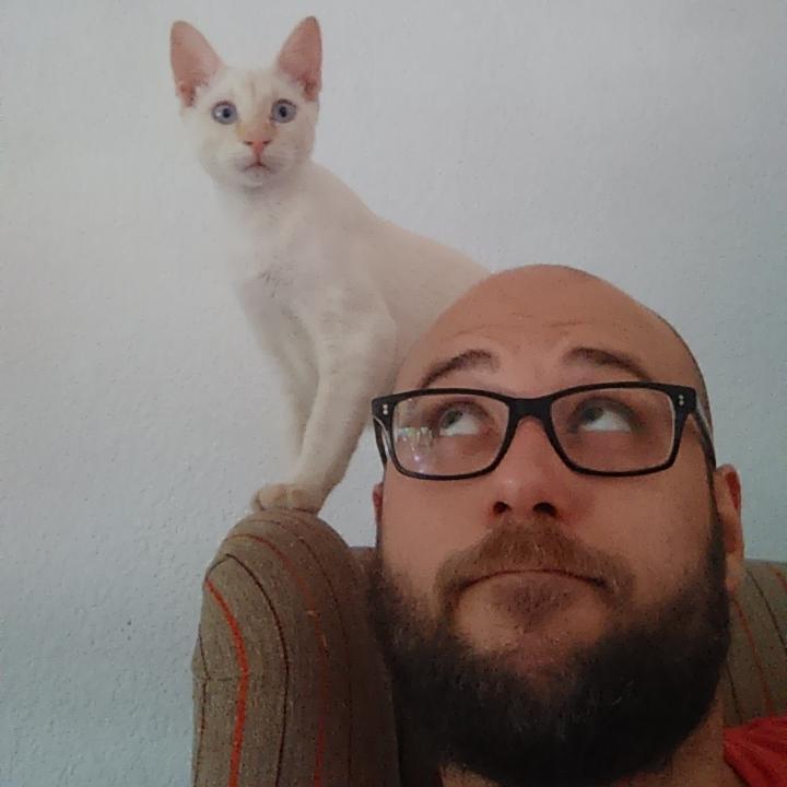 AyurVedo's profile picture. PhD candidate in Urban Planning Design & Policy at Politecnico di Milano