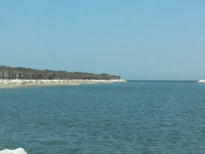 _Ali_Al_surabi's profile picture. 