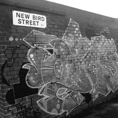 New Bird Street Warehouse collective is -
The Botanical Garden / '149' / The Shrink Wrap Factory / New Bird Warehouse newbirdwarehouse@gmail.com