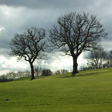 SaveHorsenden's profile picture. Horsenden Hill golf course is a public course in Ealing and it's threatened with closure. Please follow, shoutout and give RTs to help our cause :-)