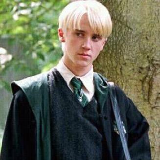Drago Malefoy a Serpentard. 7eme Annee 
A un faible pour Hermione.