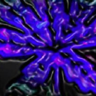 Dayley_Moore's profile picture. 