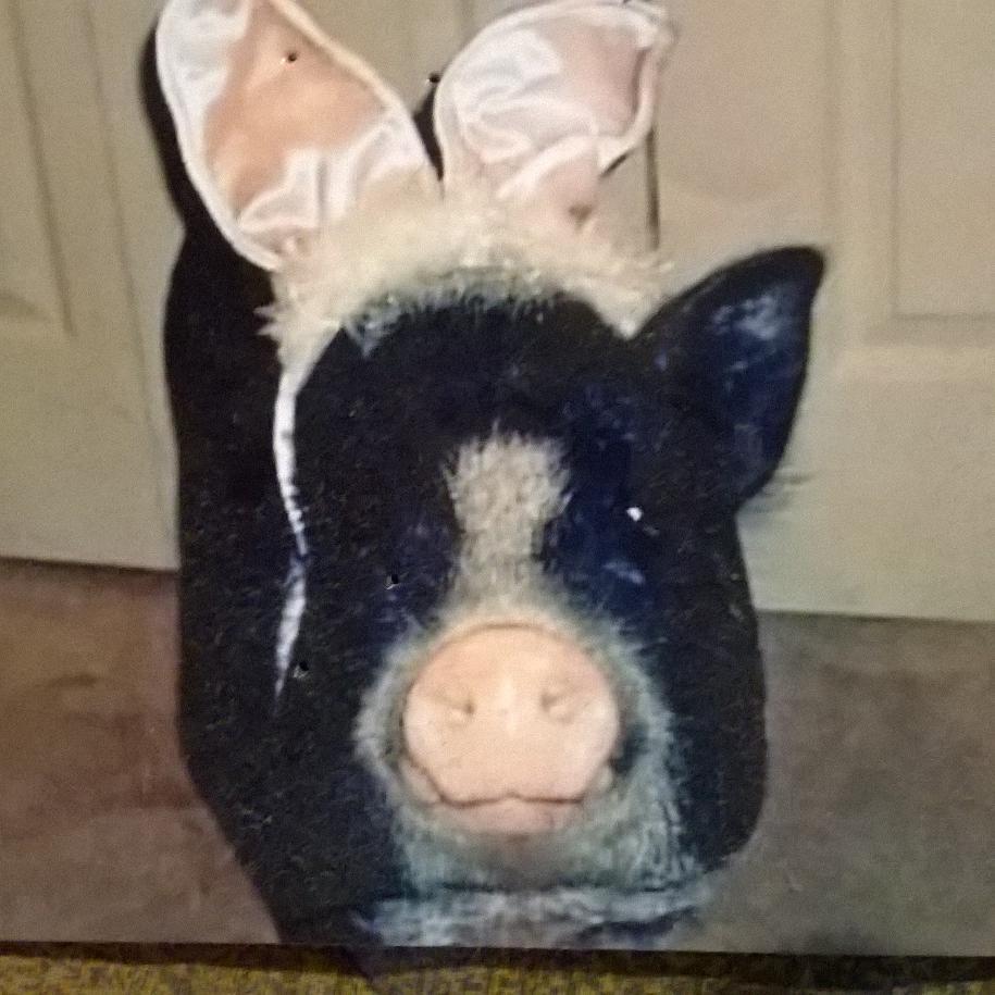 BUSTERTHEPlG's profile picture. a real ham ... i enjoy a nice glass of swine in the evening