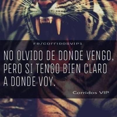 GabinoVasquezC1's profile picture. 