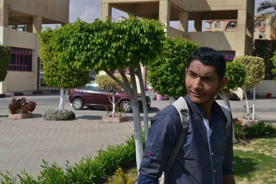 ae01120555993's profile picture. 