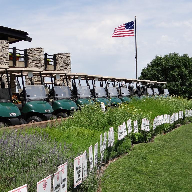 SalinaCharities's profile picture. 