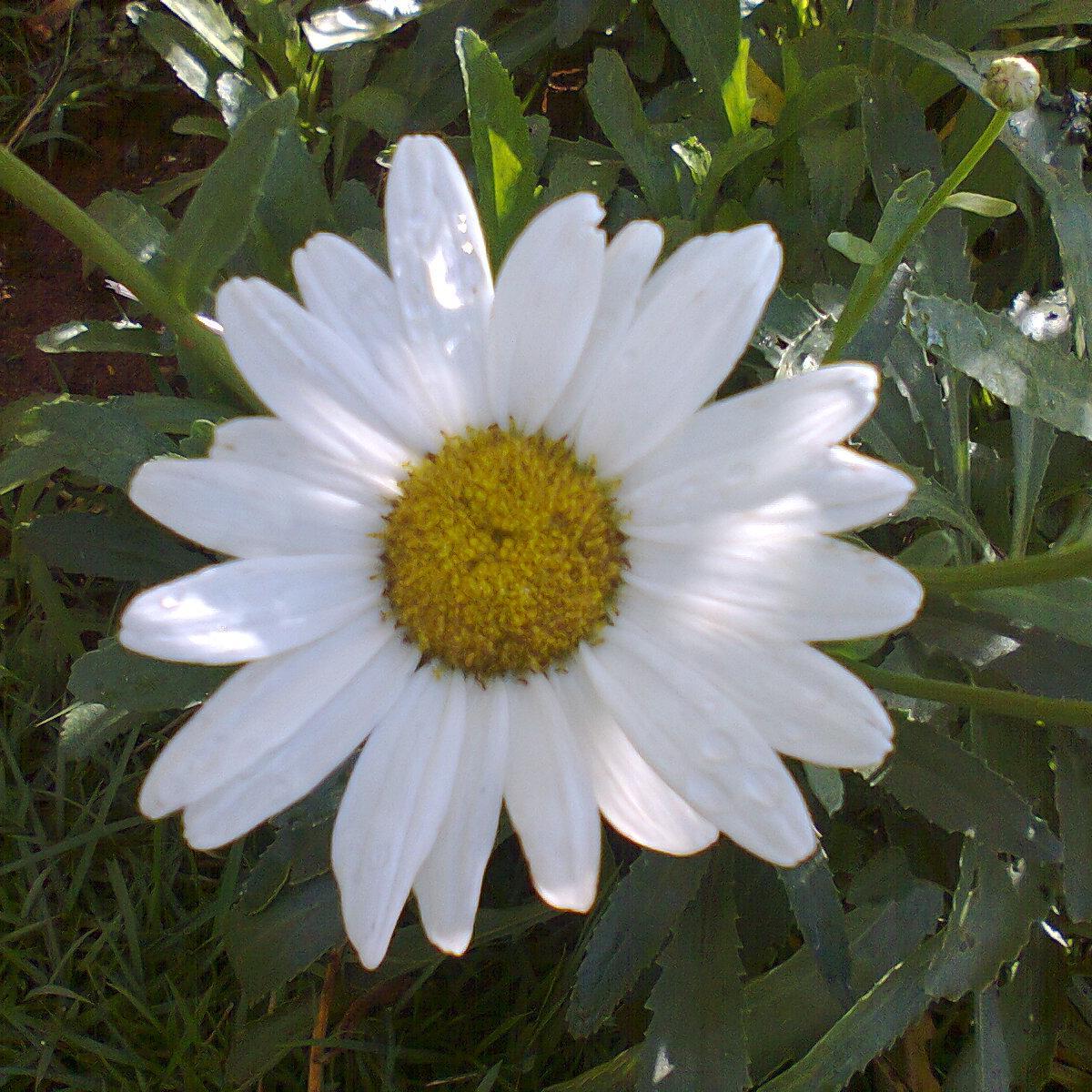 franakatia758's profile picture. 