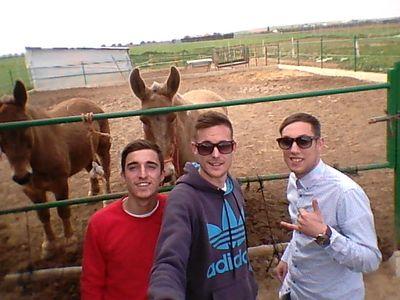 La vida me sonríe. Componente de @loswitis.