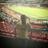 f_aldair_bf's profile image