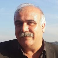 Pilot Zeybek (@31266ba41a91405) 's Twitter Profile
