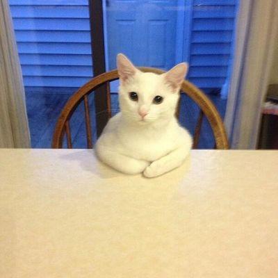 無言フォローすみません_(。_。)_ もだこんやってます 砂クランDyZeに所属してます