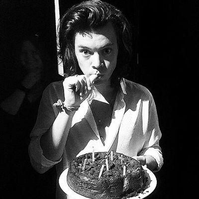 harry è tutto ciò di cui ho bisogno