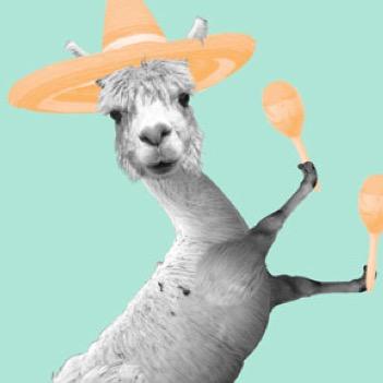 Wtff_confession's profile picture. wtf confessions 
accepting confessions
 *all confessions are anon*