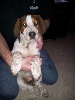 7fc918c3261a4ac's profile picture. 