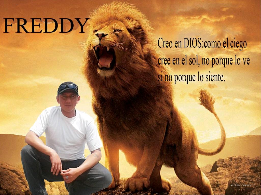 fred461999's profile picture. 