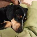 Carla Fontes - @carlis_234 - Twitter