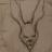 rabbitholesound's profile image