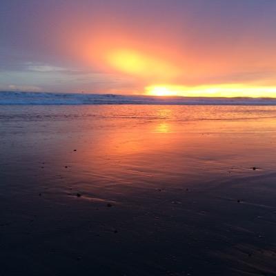 TomTomNomNoms's profile picture. 